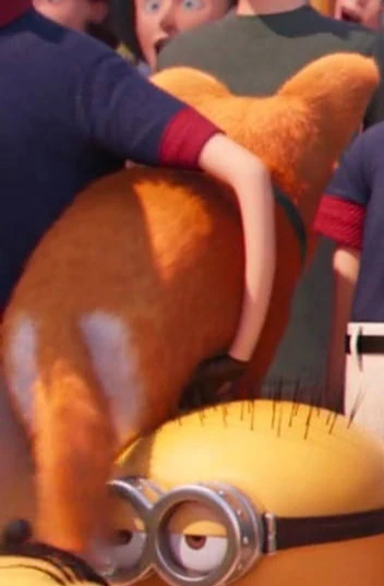 Файл:Вельш-корги пемброк.webp