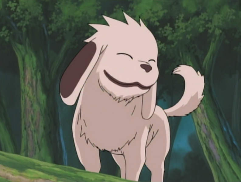 Файл:Akamaru p1.png