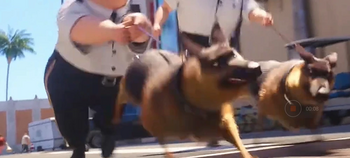 Немецкие овчарки (Гадкий я 3)