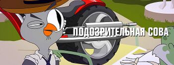 Шеф полиции