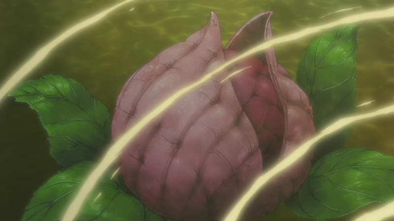 Файл:Shinju Fruit.png