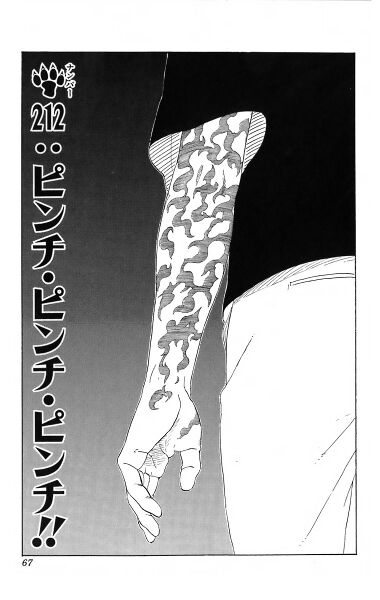 Файл:Chapter 212.jpg