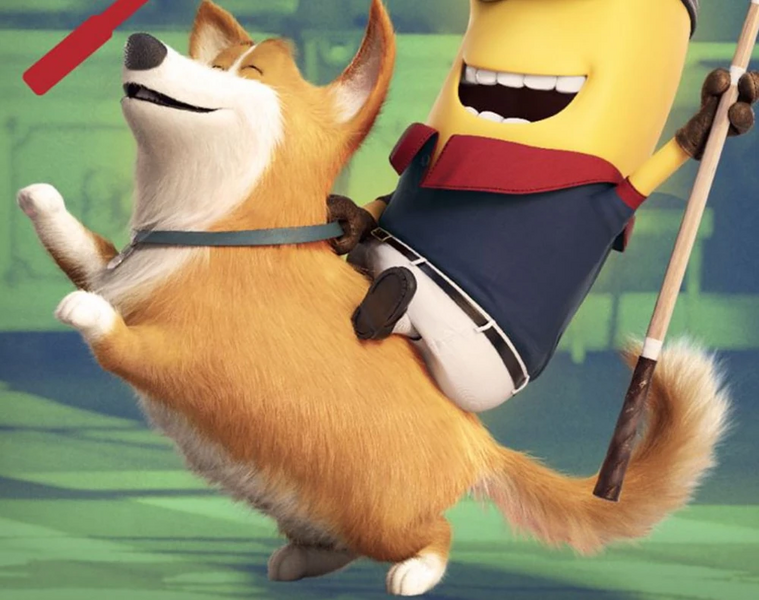 Файл:Corgis2.png