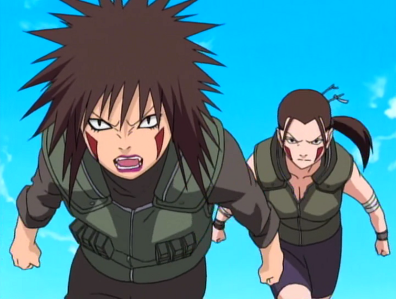 Файл:Hana and tsume.png