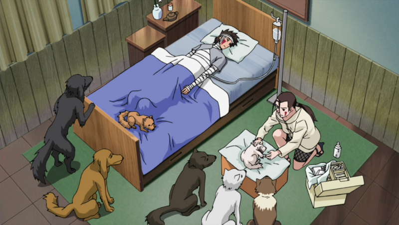 Файл:Hana treating Kiba and Akamaru.png