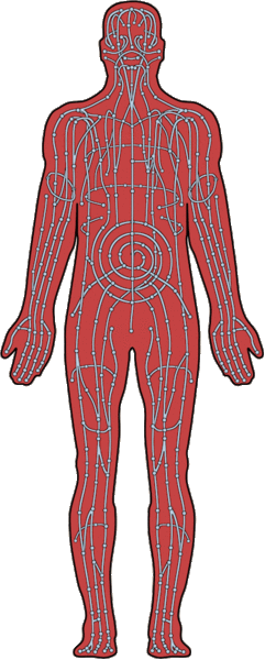 Файл:Chakra flow.gif