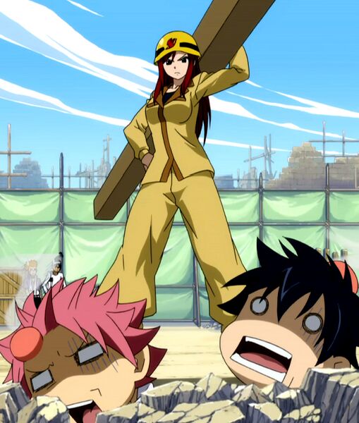 Файл:Erza working.jpg