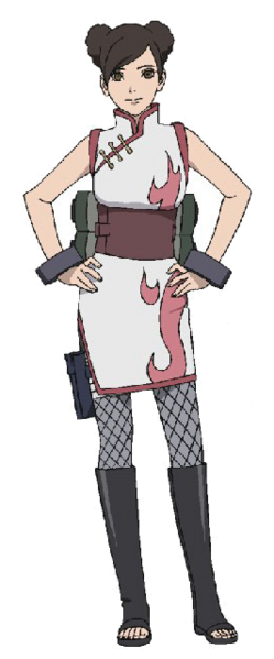 Файл:Tenten - The Last -.png