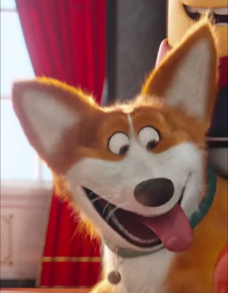 Файл:Corgi the Dog.webp