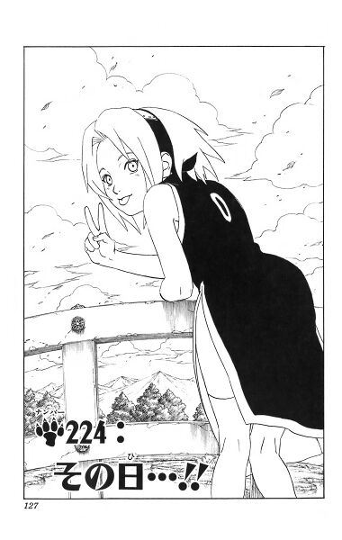 Файл:Chapter 224.jpg